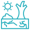 Land & Habitat Change
