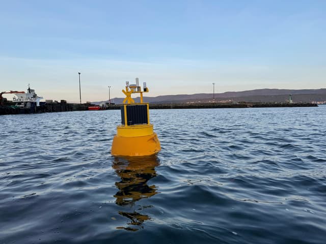 Buoys
