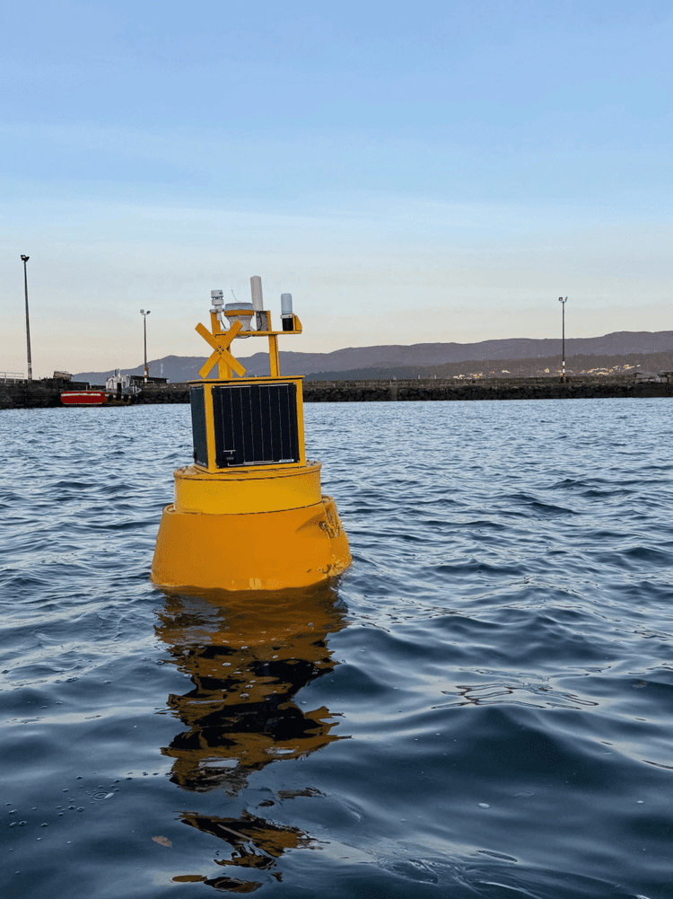EMS Mini Buoy