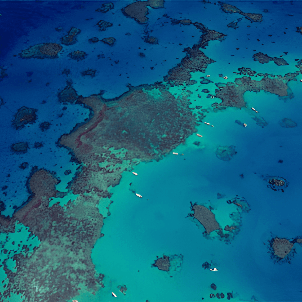 Support the 30x30 Goal