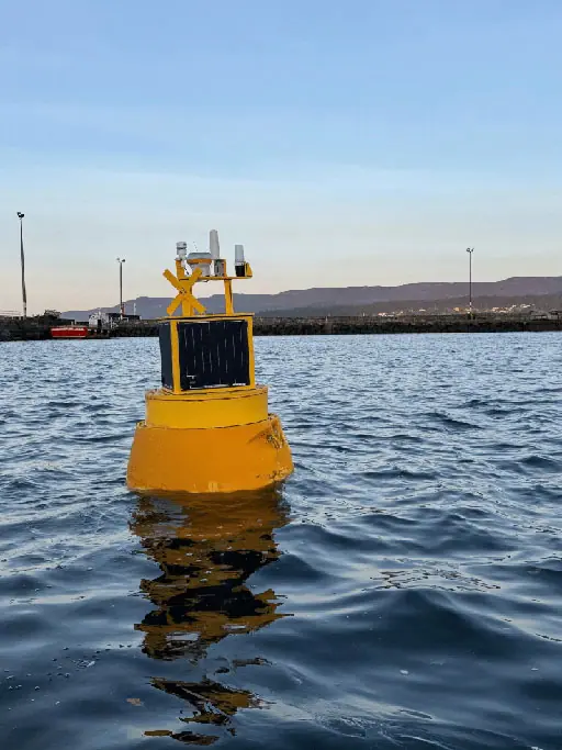 Buoys